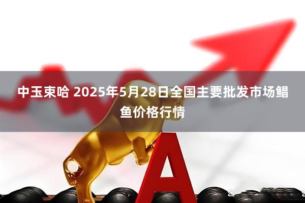 中玉束哈 2025年5月28日全国主要批发市场鲳鱼价格行情