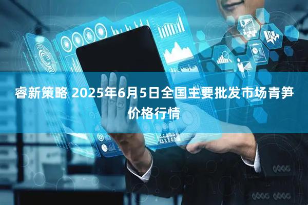 睿新策略 2025年6月5日全国主要批发市场青笋价格行情
