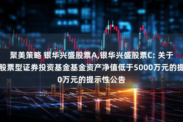 聚美策略 银华兴盛股票A,银华兴盛股票C: 关于银华兴盛股票型证券投资基金基金资产净值低于5000万元的提示性公告
