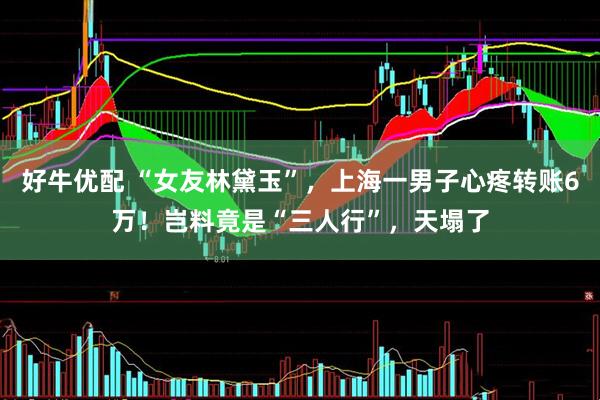 好牛优配 “女友林黛玉”，上海一男子心疼转账6万！岂料竟是“三人行”，天塌了