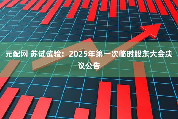 元配网 苏试试验：2025年第一次临时股东大会决议公告