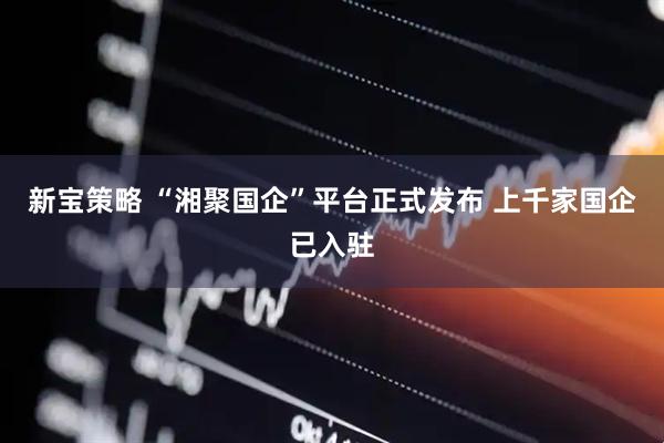 新宝策略 “湘聚国企”平台正式发布 上千家国企已入驻