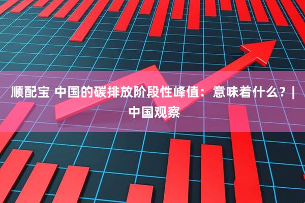 顺配宝 中国的碳排放阶段性峰值：意味着什么？| 中国观察