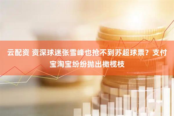 云配资 资深球迷张雪峰也抢不到苏超球票？支付宝淘宝纷纷抛出橄榄枝