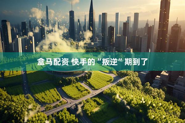 盒马配资 快手的“叛逆”期到了