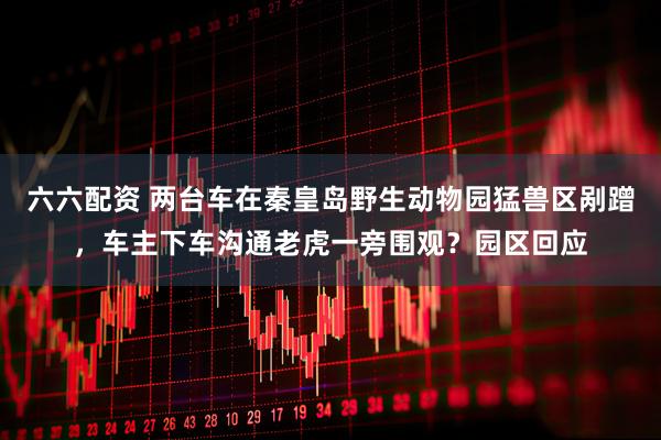 六六配资 两台车在秦皇岛野生动物园猛兽区剐蹭，车主下车沟通老虎一旁围观？园区回应
