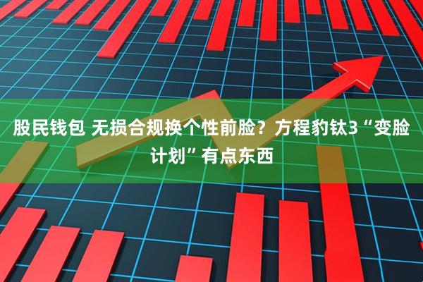 股民钱包 无损合规换个性前脸？方程豹钛3“变脸计划”有点东西