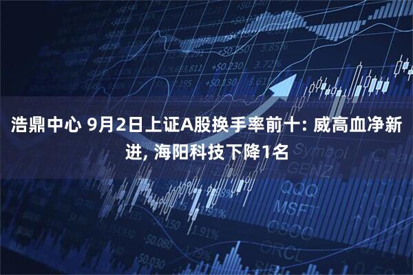 浩鼎中心 9月2日上证A股换手率前十: 威高血净新进, 海阳科技下降1名