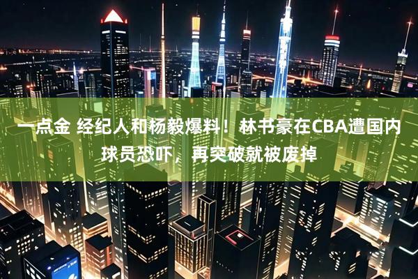 一点金 经纪人和杨毅爆料！林书豪在CBA遭国内球员恐吓，再突破就被废掉