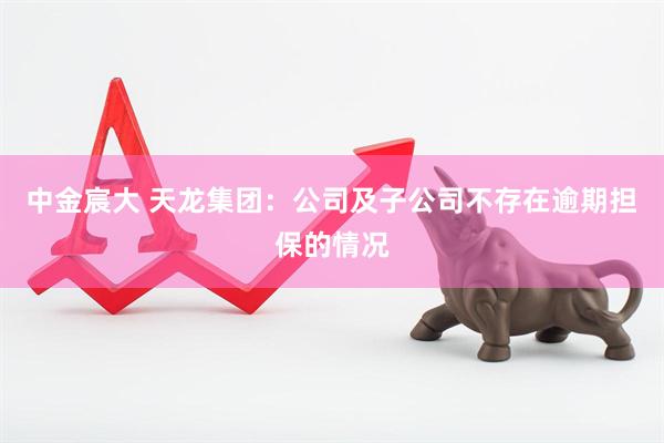 中金宸大 天龙集团：公司及子公司不存在逾期担保的情况