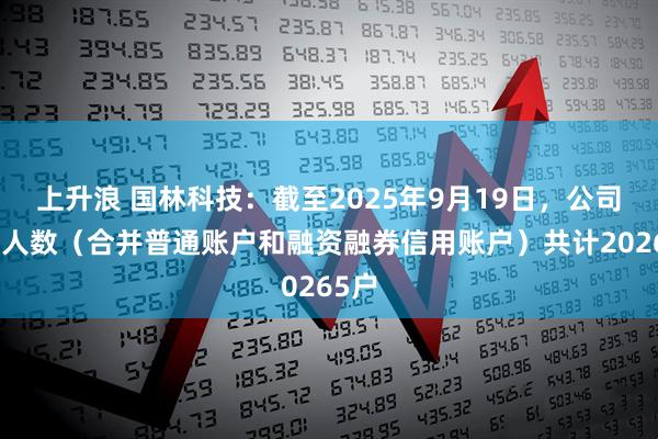 上升浪 国林科技：截至2025年9月19日，公司股东人数（合并普通账户和融资融券信用账户）共计20265户