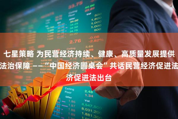 七星策略 为民营经济持续、健康、高质量发展提供坚实法治保障 ——“中国经济圆桌会”共话民营经济促进法出台
