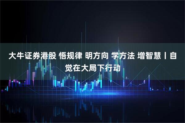 大牛证券港股 悟规律 明方向 学方法 增智慧丨自觉在大局下行动